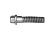 BULON CARDAN 12X50 PASO 1.75 G 1